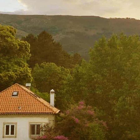 Casa Das Essencias, Quinta De Santo Antonio Covilhã Kültér fotó